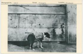 Image representing photograph.