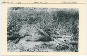 Image representing photograph.