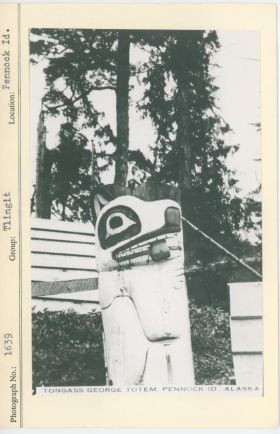 Image representing photograph.