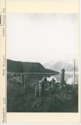 Image representing photograph.