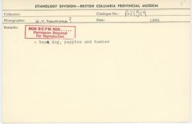 Image representing photograph.