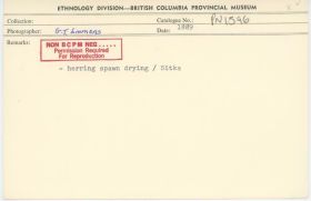 Image representing photograph.