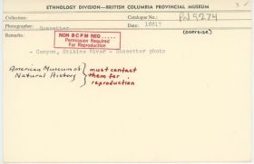 Image representing photograph.