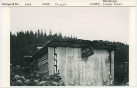 Image representing photograph.