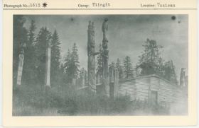 Image representing photograph.