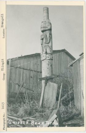 Image representing photograph.