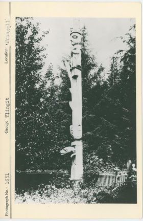 Image representing photograph.