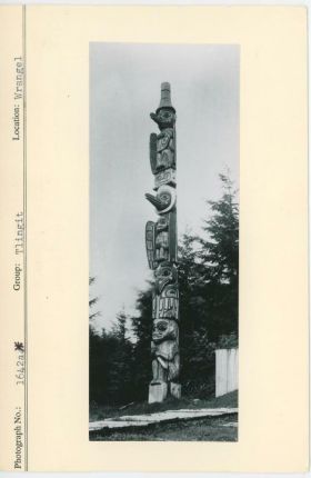 Image representing photograph.