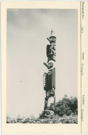 Image representing photograph.