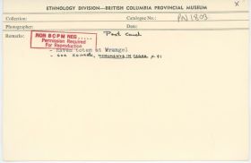 Image representing photograph.