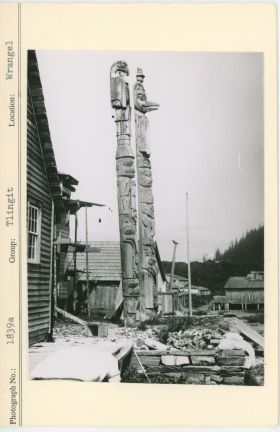 Image representing photograph.