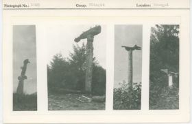 Image representing photograph.