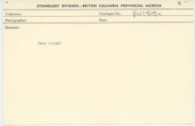 Image representing photograph.