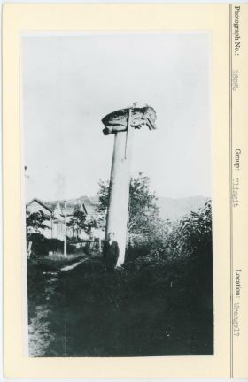 Image representing photograph.