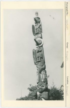 Image representing photograph.