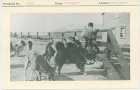 Image representing photograph.