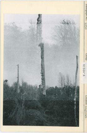 Image representing photograph.