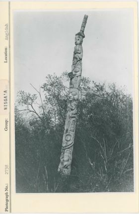 Image representing photograph.