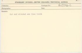 Image representing photograph.