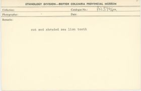 Image representing photograph.