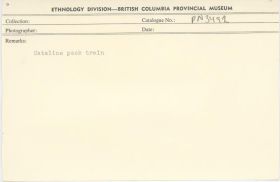 Image representing photograph.