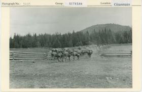 Image representing photograph.