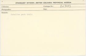 Image representing photograph.