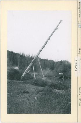 Image representing photograph.