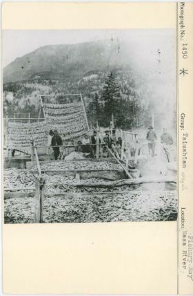 Image representing photograph.