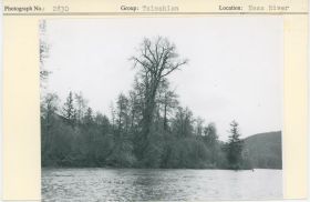 Image representing photograph.