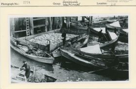 Image representing photograph.