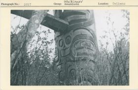 Image representing photograph.