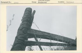 Image representing photograph.