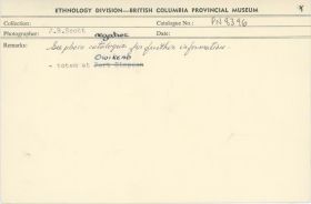 Image representing photograph.