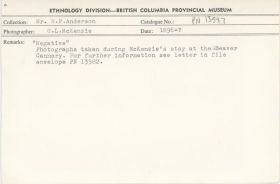 Image representing photograph.