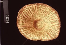 Image representing Hat.