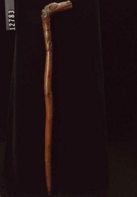 Image representing Cane.