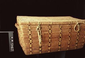 Image representing Trunk.