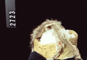 Image representing Headdress.