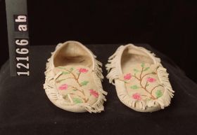 Image representing Moccasin.