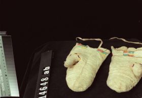 Image représentant Mitt