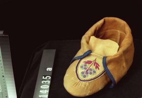 Image representing Moccasin.