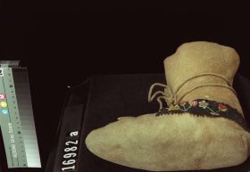 Image representing Moccasin.
