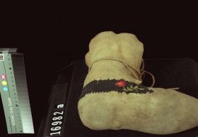 Image representing Moccasin.