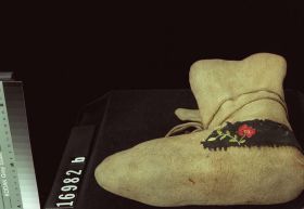 Image representing Moccasin.