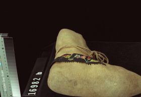 Image representing Moccasin.