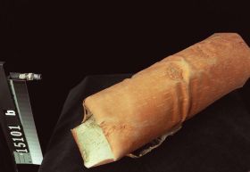 Image representing Raw Material.