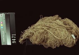 Image representing Net.