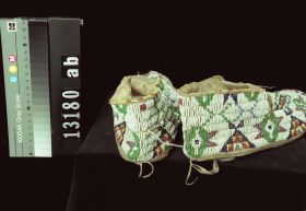 Image representing Moccasin.