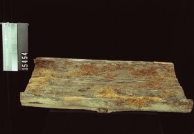 Image representing Plank.